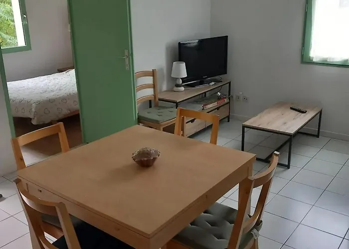 Bel Au Bord Du A Arreau, 40 M² Avec Piscine *